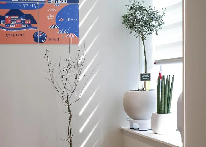 Hotel apartamentowy 302jhblossomstayjeonpo 3*